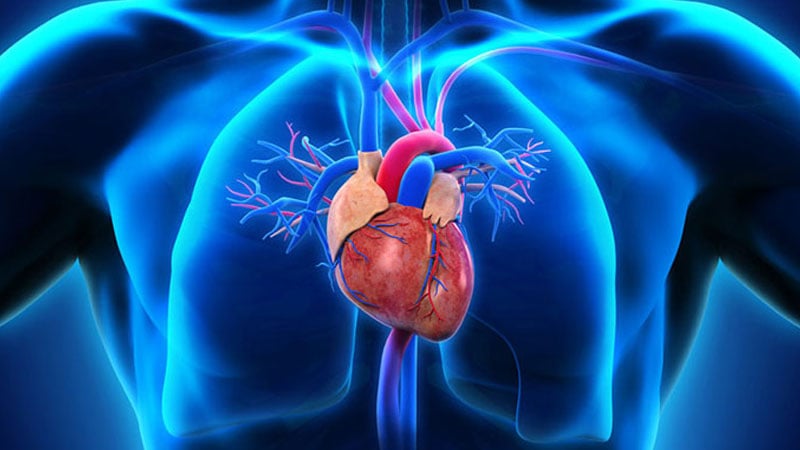 Upgrade Your Life Today